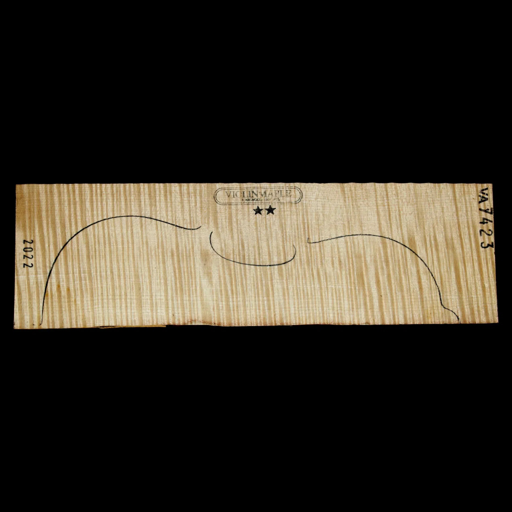 VIOLA-2S-7423 | VIOLINMAPLE